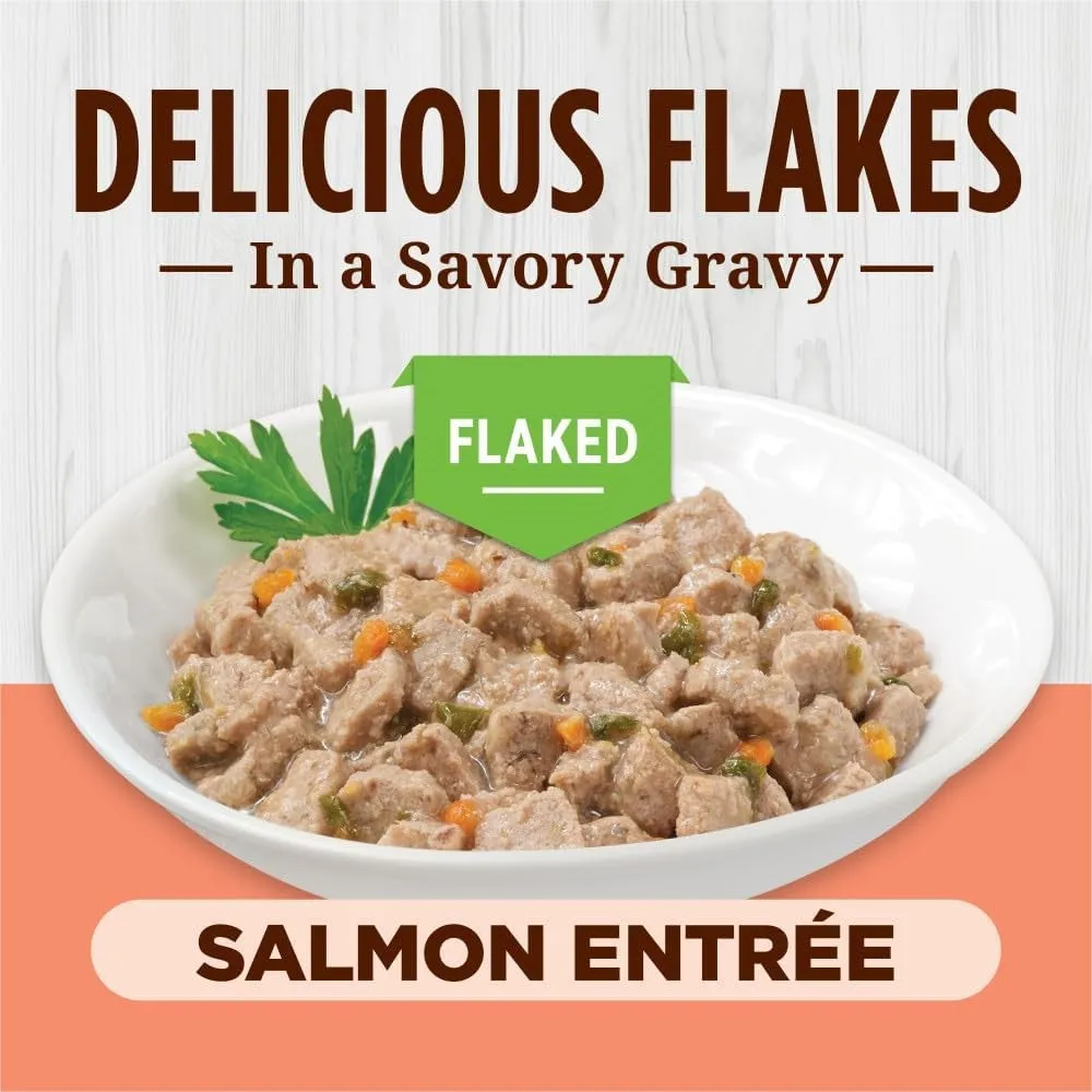 All Life Stages Grain-Free Flaked Salmon Entree Cat Can