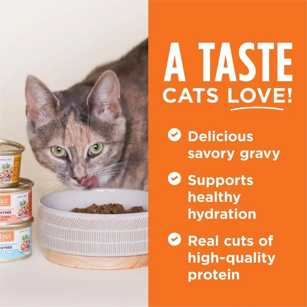 All Life Stages Grain-Free Flaked Salmon Entree Cat Can