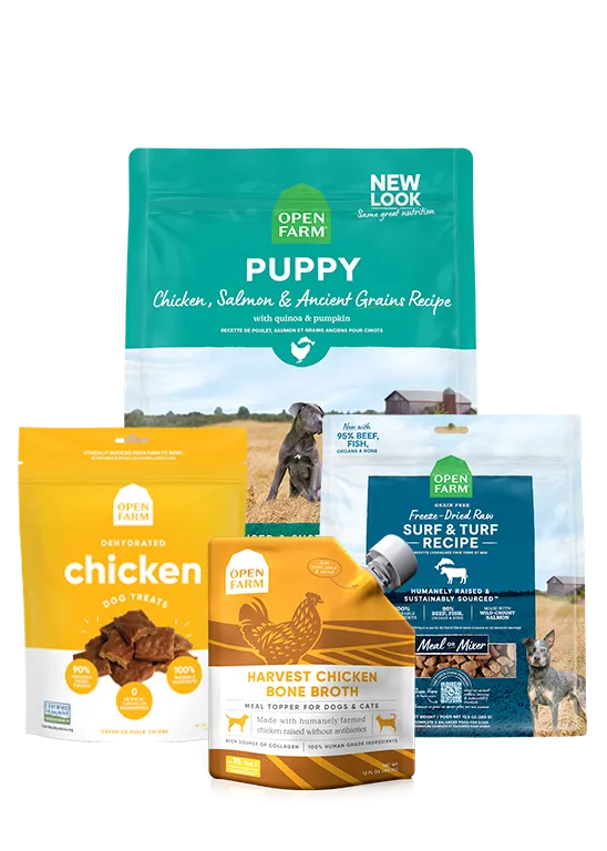 Ancient Grains Puppy Pack