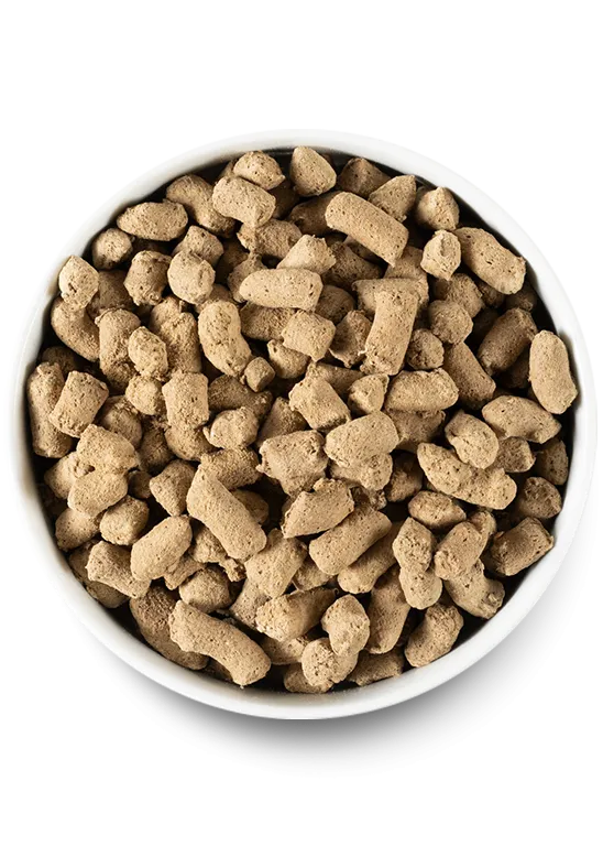 Ancient Grains Puppy Pack