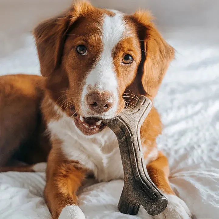 Benebone Bacon Stick, Dog Toy