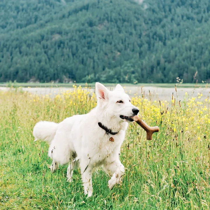 Benebone Bacon Stick, Dog Toy