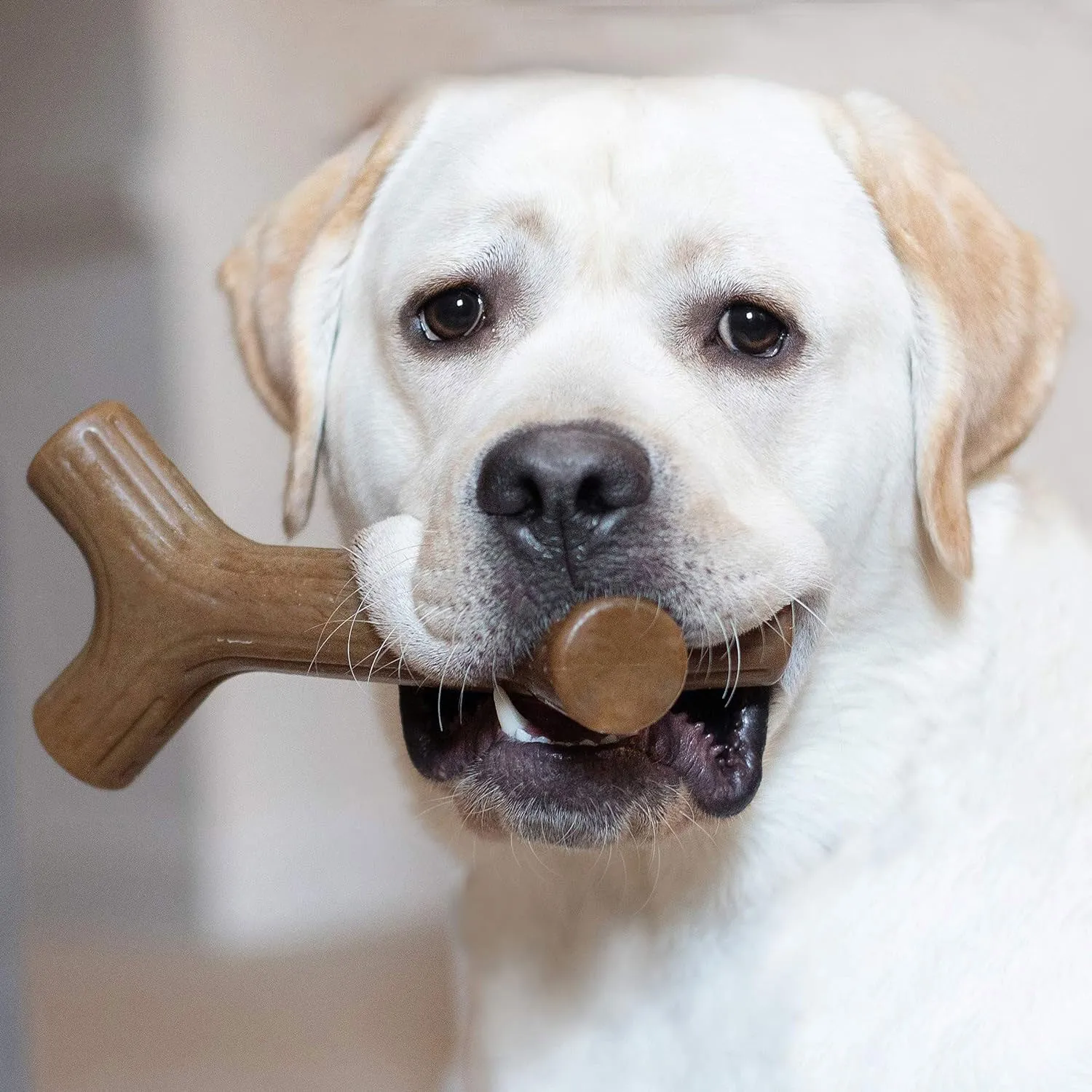 Benebone Bacon Stick Giant