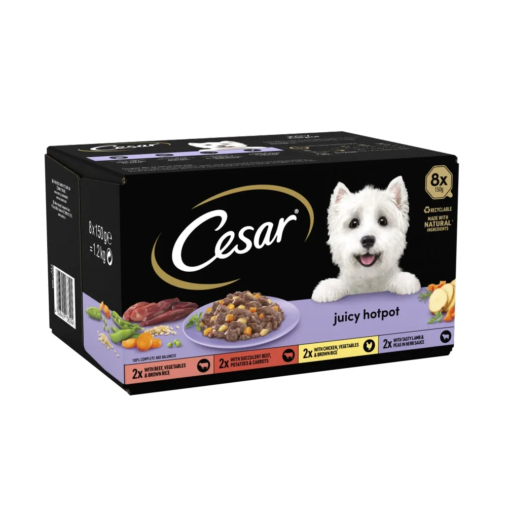 Cesar | Wet Dog Food Foil Selection | Juicy Hotpot - 8 x 150g