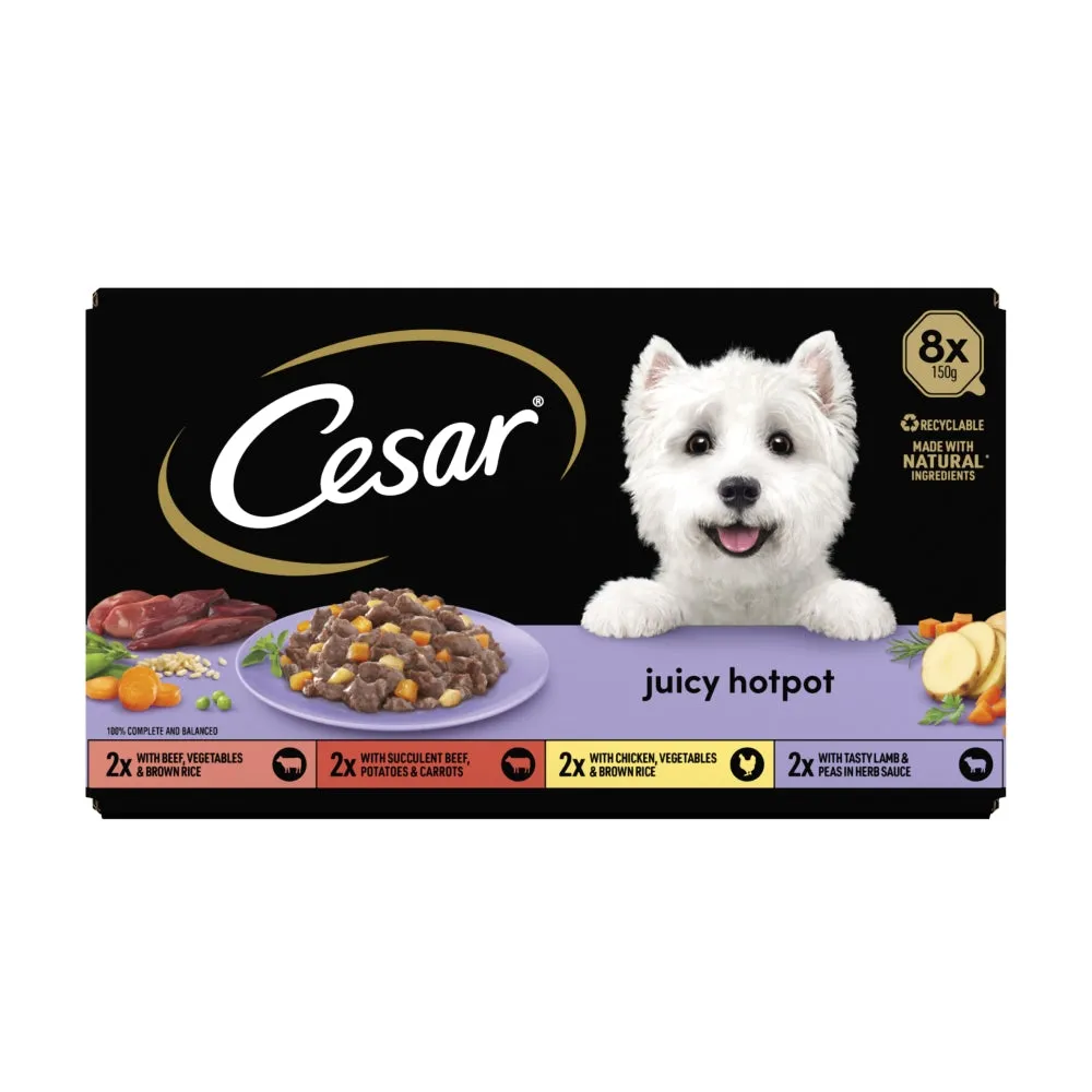 Cesar | Wet Dog Food Foil Selection | Juicy Hotpot - 8 x 150g