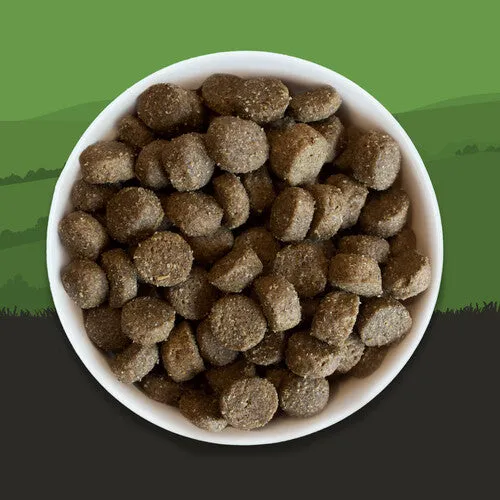 Collards Lamb And Rice Adult Dry Dog Food - 10kg