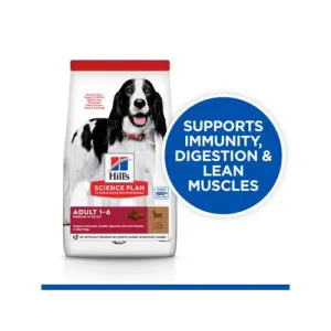 Hill's Science Plan Adult Medium Dry Dog Lamb & Rice 2.5kg