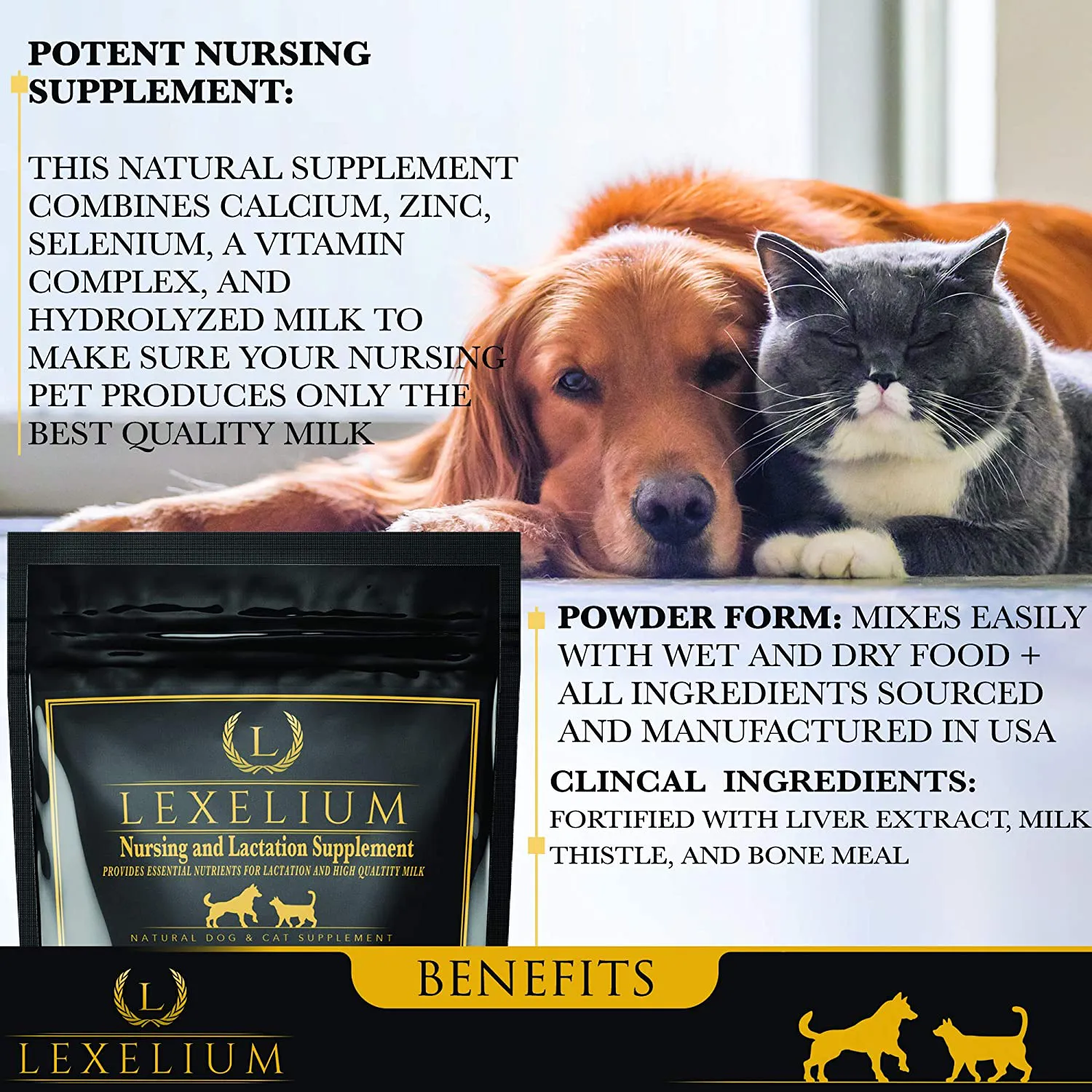 Nursing, Lactation & Recovery Supplement for Nursing Dogs & Cats | Fortified w/Calcium, Hydrolyzed Cow Milk, Bonemeal, Milk Thistle   Vitamins & Minerals | Muscle, Skeleton & Mental Development |200G