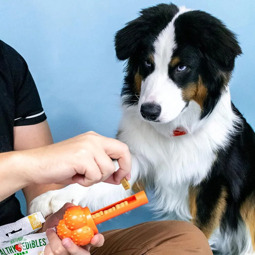 Nylabone Sneaky Snacker Chew & Treat