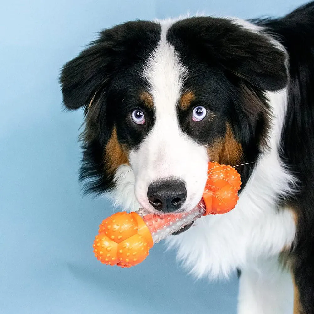 Nylabone Sneaky Snacker Chew & Treat