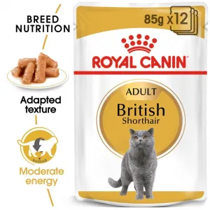 Royal Canin Wet Food -British Shorthair (85G Pouches)