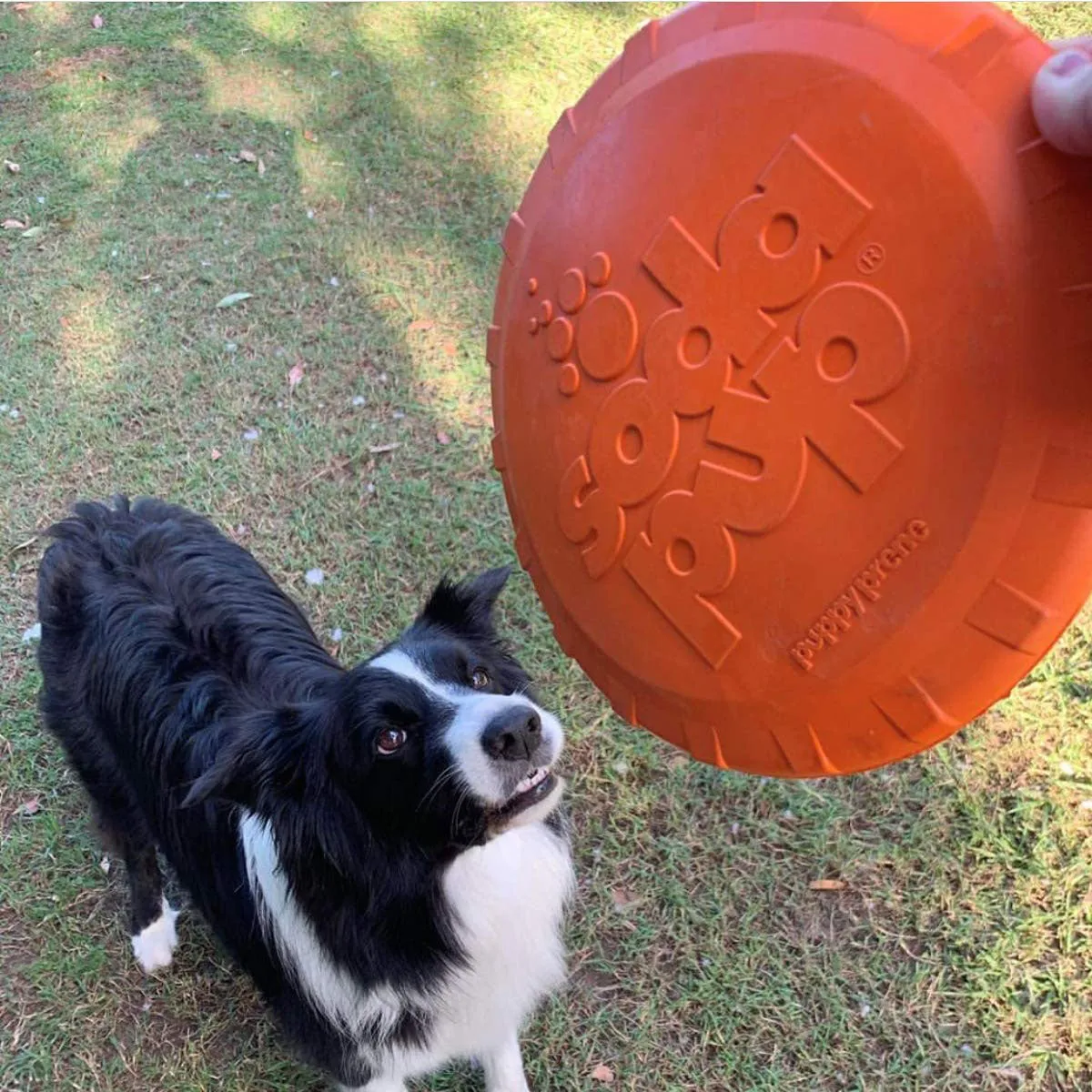 Soda Pup Bottle Top Flyer - Orange Squeeze