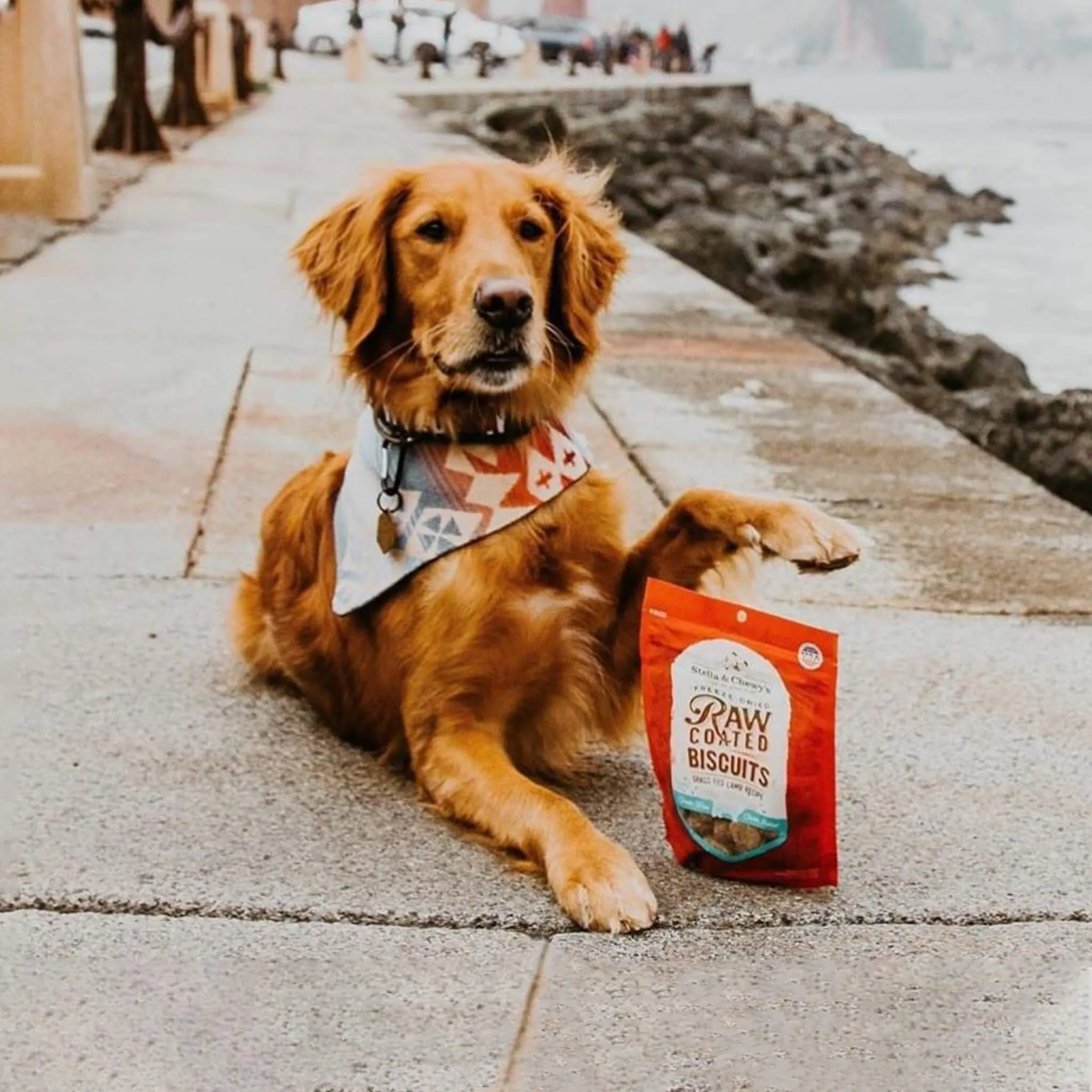 Stella & Chewy's Raw Coated Biscuit Freeze Dried Dog Treat